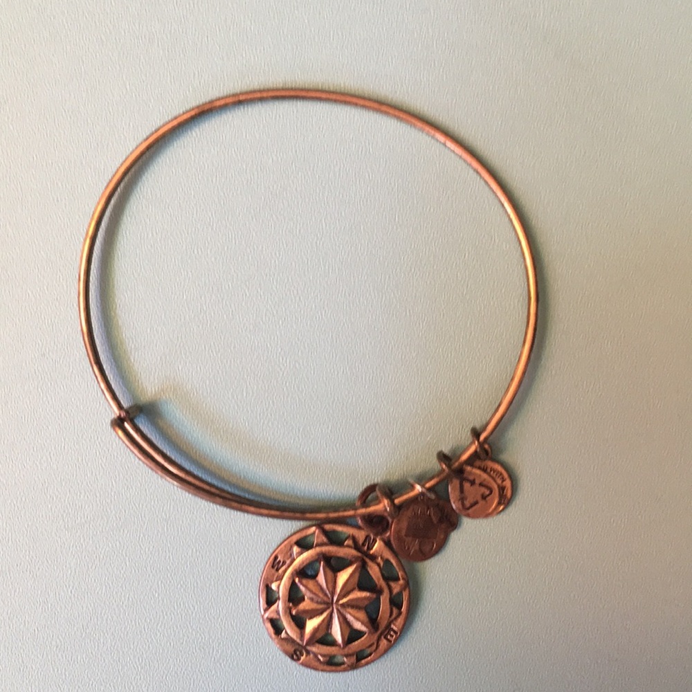 Compass Alex and Ani